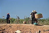 Tonle Sap - Kampong Phluk village - every day life